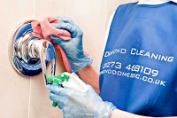 Diamond Domestic Cleaning Services Ltd 356537 Image 6